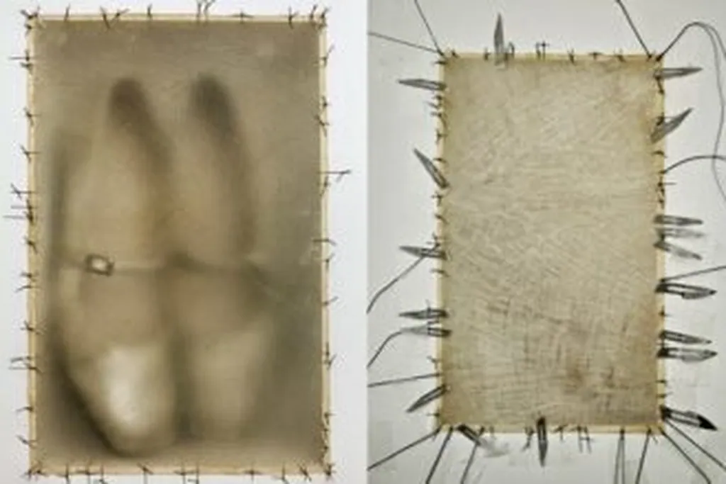 Doris Salcedo y la espina de la memoria