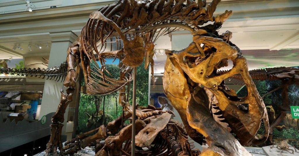 Los científicos sugieren que Tyrannosaurus tenía tres especies, no solo ‘Rex’