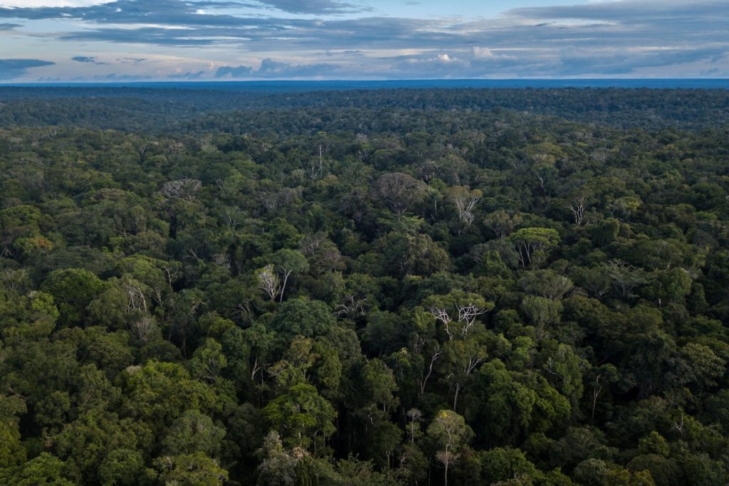 Los satélites muestran que la selva amazónica se dirige hacia un «punto de inflexión»