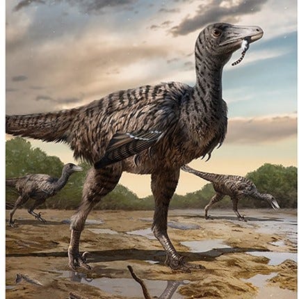 Los científicos creen que pueden haber descubierto evidencia en China de un Megaraptor, un pariente del dinosaurio Velociraptor, que era dos o tres veces su tamaño.