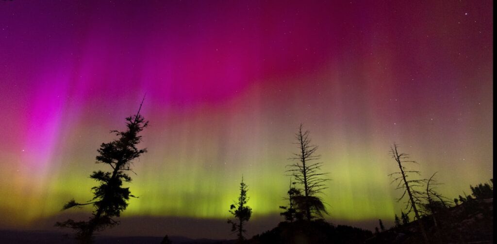 ¿Qué causa los diferentes colores de la aurora?  Un experto explica el arcoíris eléctrico