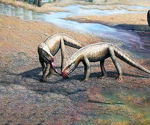 Un antiguo reptil parecido a un cocodrilo llamado Parvosuchus aurelioi, un reptil parecido a un parvosuchus.  Crédito de la imagen: Matheus Fernandes.