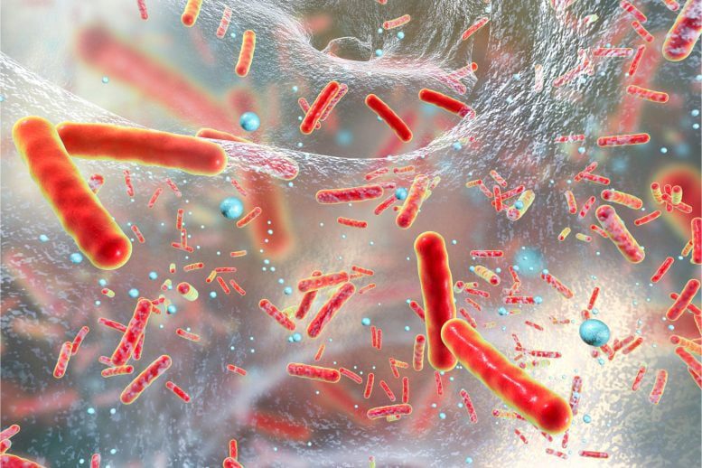 Bacterias microbianas rojas