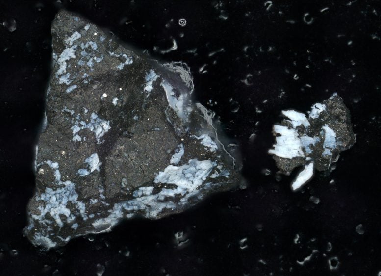 Micrografía de una muestra del asteroide Bennu.