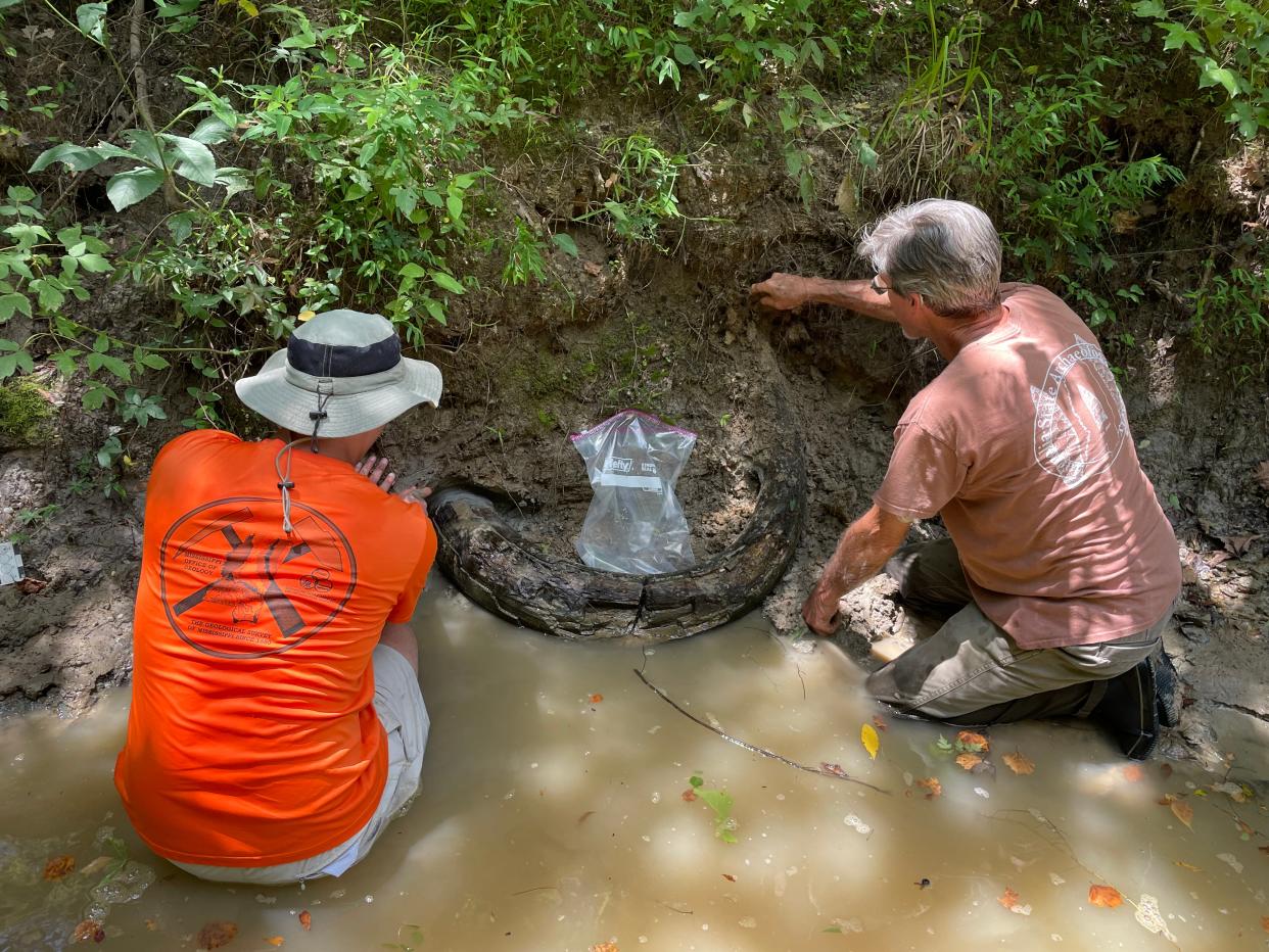 Jonathan Laird (izquierda) de la Oficina de Geología del Departamento de Calidad Ambiental de Mississippi y Eddie Templeton de Madison observan el sitio de un colmillo de mamut que Templeton encontró recientemente en un arroyo del condado de Madison.