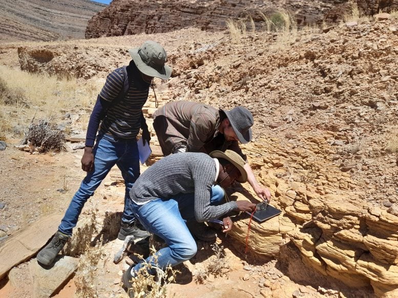 Investigadores examinan evidencia de fósiles de animales en Namibia