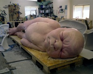 1429-b8429-mueck_14
